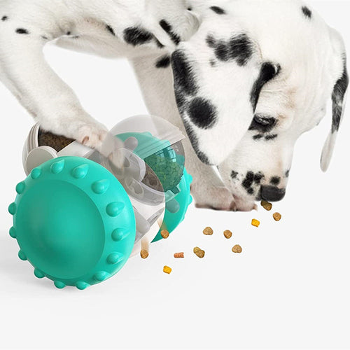 Cat And Dog Toys Slow Food Interactive Balance Car Multifunctional Fun